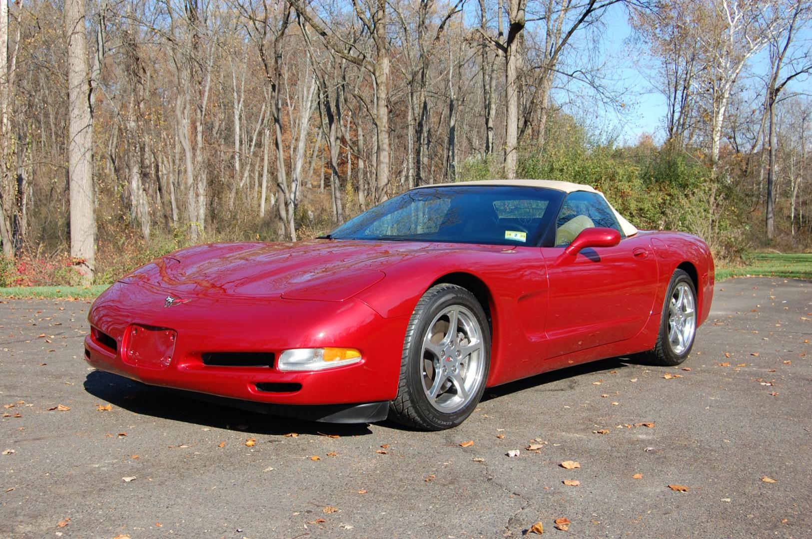 1998 Burgundy /Beige Leather Chevrolet Corvette (1G1YY32G9W5) with an 5.7 liter V8 engine, Automatic transmission, located at 6528 Lower York Road, New Hope, PA, 18938, (215) 862-9555, 40.358707, -74.977882 - Photo#0